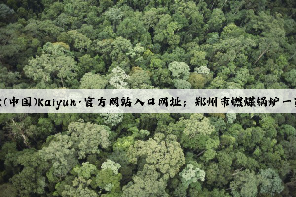 开云(中国)Kaiyun·官方网站入口网址：郑州市燃煤锅炉一览表
