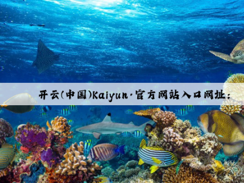 开云(中国)Kaiyun·官方网站入口网址：