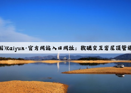 开云(中国)Kaiyun·官方网站入口网址：软硬交互岩层顶管施工技术研究