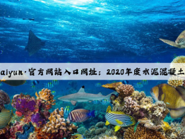 开云(中国)Kaiyun·官方网站入口网址：2020年度水泥混凝土管涵行业发展报告